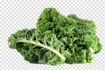 Kale Leaf vegetable Nutrition, kale transparent background PNG clipart Kale Leaf vegetable Nutrition, kale transparent background PNG clipart