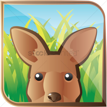 Kangaroo Kangaroo