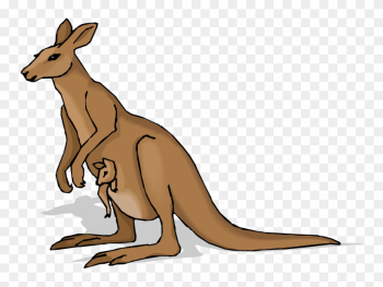 Kangaroo Clip Art Beer Free Clipart Images - Kangaroo Clip Art Kangaroo Clip Art Beer Free Clipart Images - Kangaroo Clip Art