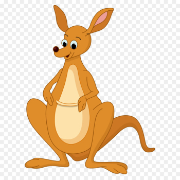 Kangaroo Drawing Cartoon Clip art - Vector Australian Kangaroo 