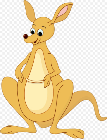 kangaroo macropodidae kangaroo cartoon wallaby kangaroo macropodidae kangaroo cartoon wallaby