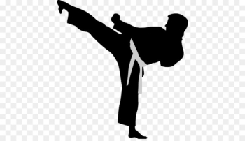 Karate Martial arts Tang Soo Do Shotokan - Karate action figures 