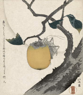 Katsushika Hokusai&rsquo;s persimmon and grasshopper | Free Photo Illustration - rawpixel