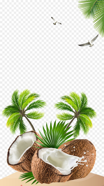 Kefir Coconut water Coconut milk - Fresh coconut Kefir Coconut water Coconut milk - Fresh coconut