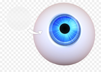 Keratoprosthesis Corneal transplantation Iris Eye - eye Keratoprosthesis Corneal transplantation Iris Eye - eye