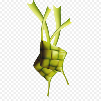 Ketupat Lepet Eid al-Fitr Food Kartu Lebaran - others Ketupat Lepet Eid al-Fitr Food Kartu Lebaran - others