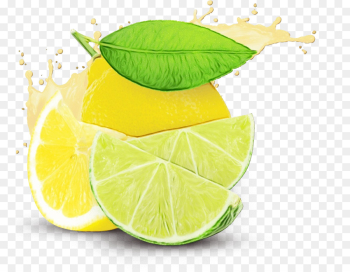 key lime lime persian lime lemon-lime green key lime lime persian lime lemon-lime green