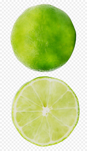 Key lime Sweet lemon Persian lime - Key lime Sweet lemon Persian lime -