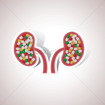 Kidney filled with pills Kidney filled with pills