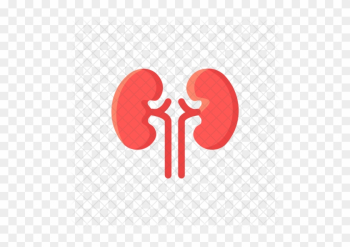 Kidney, Organ, Health, Medical, Renal, Kidnies Icon - Kidney Icon Red