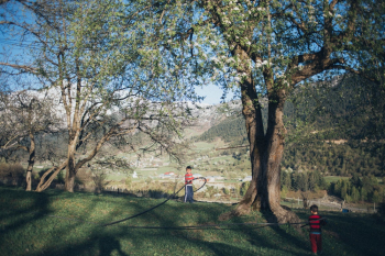 Kids Near Tree Kids Near Tree