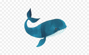 Killer whale Drawing Watercolor painting Illustration - whale 