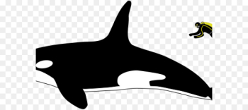 Killer Whale, Whales, Great White Shark, Fin PNG