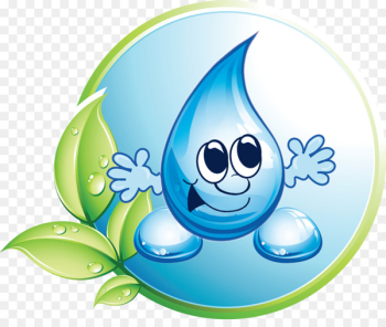 Kindergarten Pre-school Fontanelle Educational institution Water - dewdrop 
