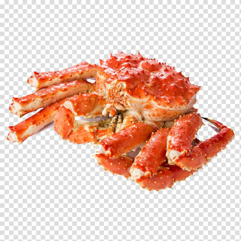 King crab crab transparent background PNG clipart King crab crab transparent background PNG clipart