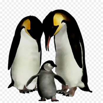King penguin Beak - King penguin Beak -