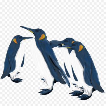 King penguin Emperor penguin Animal Illustration - penguin King penguin Emperor penguin Animal Illustration - penguin