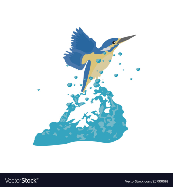 Kingfisher image vector image Kingfisher image vector image