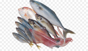 Kipper Sardine Fish products Mackerel Oily fish - Fish PNG Kipper Sardine Fish products Mackerel Oily fish - Fish PNG
