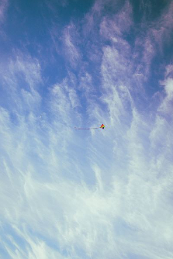 kite flying on sky kite flying on sky