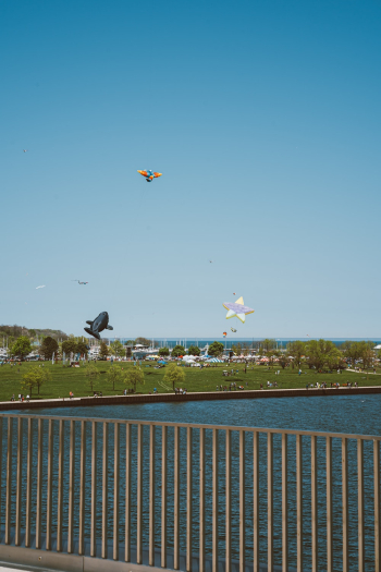 Kites Flying Kites Flying