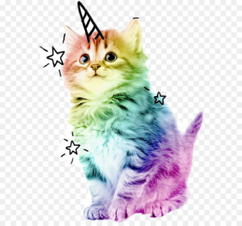 Kitten Cat Unicorn Adrien Agreste Cuteness - kitten Kitten Cat Unicorn Adrien Agreste Cuteness - kitten