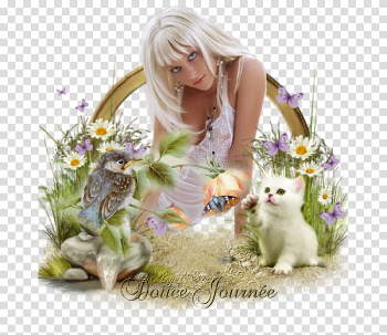 Kitten Frames Film frame, kitten transparent background PNG clipart Kitten Frames Film frame, kitten transparent background PNG clipart
