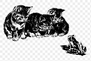 Kittens watching frog png clipart, | Free PNG - rawpixel Kittens watching frog png clipart, | Free PNG - rawpixel