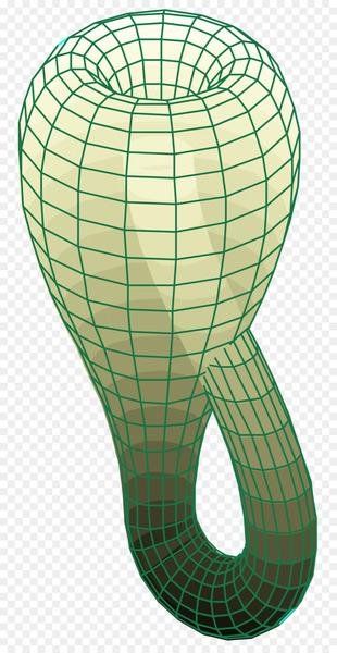 Klein bottle Orientability Surface Two-dimensional space Mathematics - astronomical border 