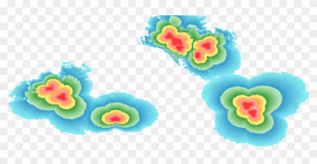 Kml Image Lte Coverage V1 L4 1 - Rainbow Rose