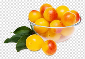 Knife Apricot Fruit Plum Damson, Apricot transparent background PNG clipart Knife Apricot Fruit Plum Damson, Apricot transparent background PNG clipart