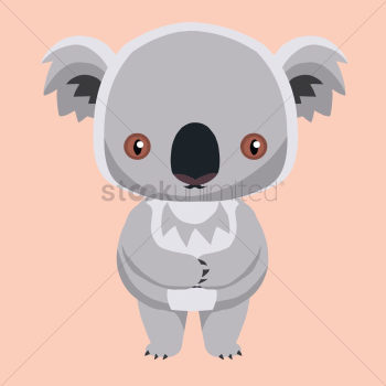 Koala bear Koala bear