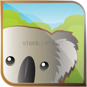 Koala bear Koala bear