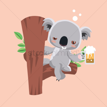 Koala bear drinking beer Koala bear drinking beer