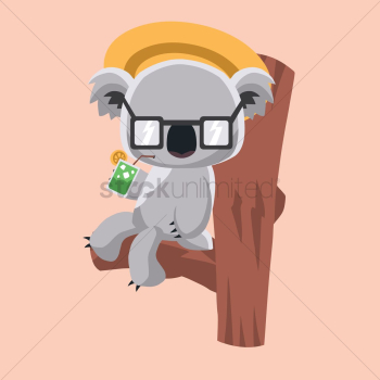 Koala bear drinking cocktail Koala bear drinking cocktail