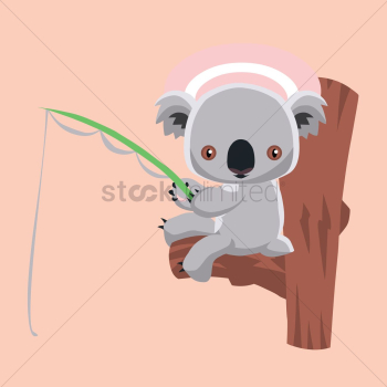 Koala bear fishing Koala bear fishing