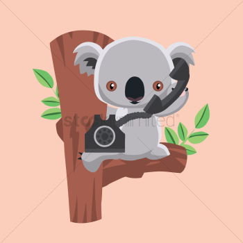 Koala bear holding telephone Koala bear holding telephone