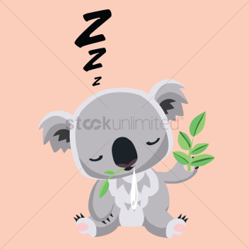 Koala bear sleeping Koala bear sleeping