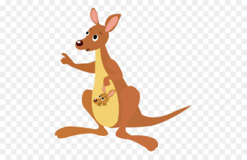 Koala Boxing kangaroo Child Illustration - mom kangaroo Koala Boxing kangaroo Child Illustration - mom kangaroo