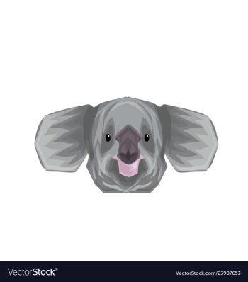 Koala ilustration vector image