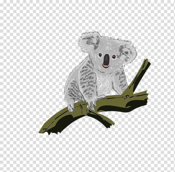 Koala , Koala climbing trees transparent background PNG clipart Koala , Koala climbing trees transparent background PNG clipart