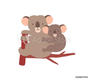 Koala with baby on tree branch isolated on white background Koala with baby on tree branch isolated on white background
