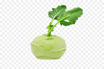 Kohlrabi Vegetable Food Delivery Broccoli - vegetable Kohlrabi Vegetable Food Delivery Broccoli - vegetable