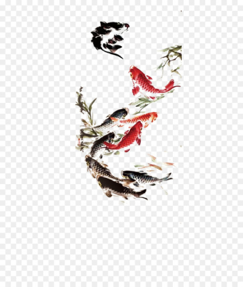 Koi Carassius auratus Ink wash painting Drawing - Ink fish Koi Carassius auratus Ink wash painting Drawing - Ink fish