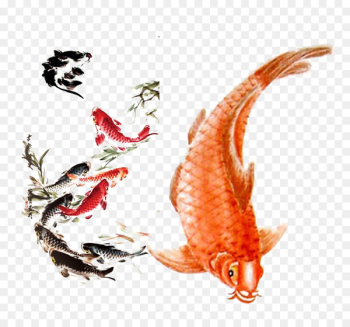 Koi Carassius auratus Ink wash painting - Ink fish Koi Carassius auratus Ink wash painting - Ink fish