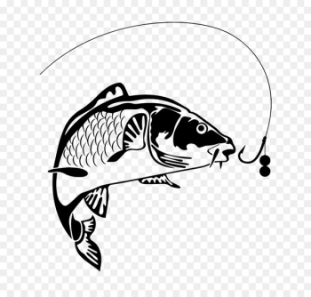 Koi Carp fishing - fish Koi Carp fishing - fish