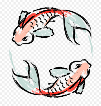 Koi Japanese Cuisine Goldfish - japan Koi Japanese Cuisine Goldfish - japan