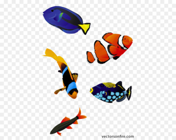 Koi Saltwater fish Clip art - Aquarium fish Koi Saltwater fish Clip art - Aquarium fish