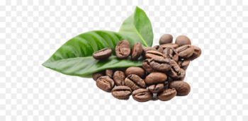 Kona coffee Espresso Tea Coffee bean - Leaves and coffee beans 