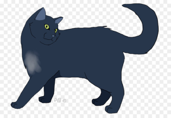 Korat Kitten Black cat Whiskers Domestic short-haired cat - kitten 
